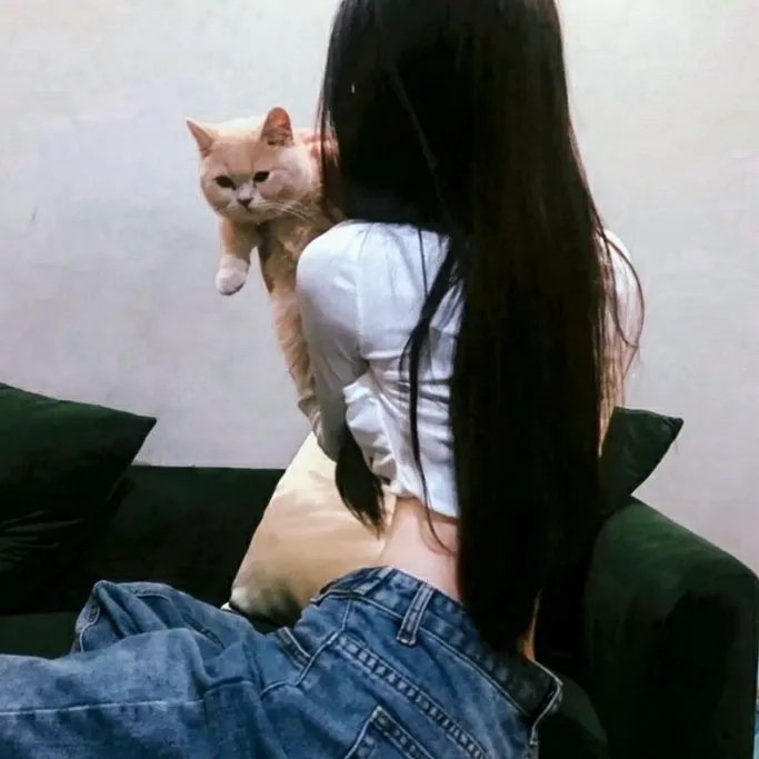 小锅盖离婚